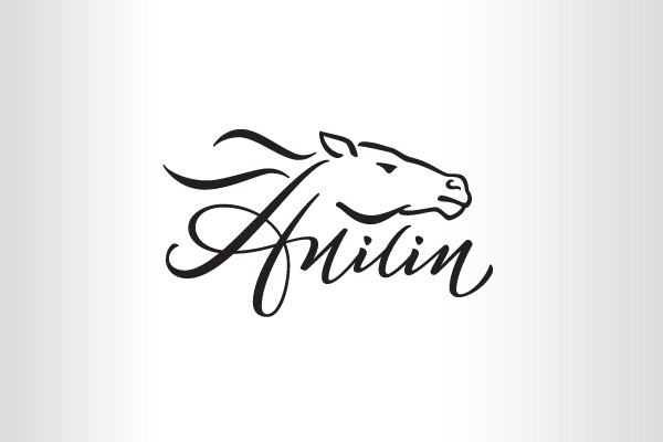 anilin_01